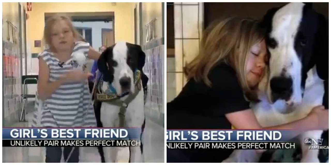 Bimba disabile cammina grazie al cane-fisioterapista