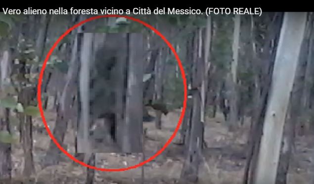 Sente degli strani rumori fuori casa, quello che riprende è inquietante – Video