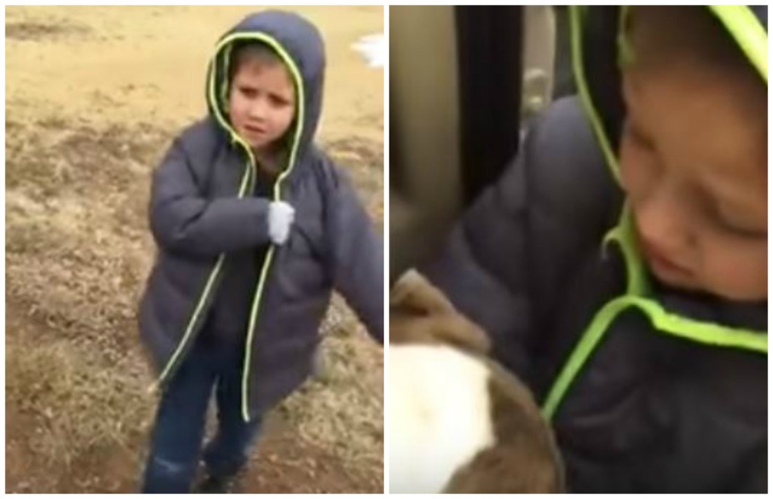 Il bimbo ritrova il cagnolino e scoppia in lacrime, il video è virale