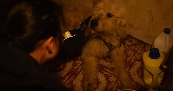 Rivede la donna che lo ha salvato, la sua reazione è commovente