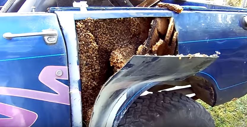 La macchina ha qualche problema, toglie un pannello e fa una scoperta raccapricciante