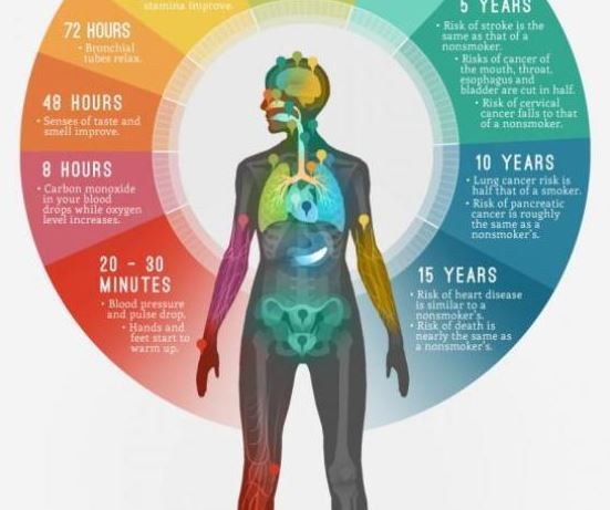 Cosa accade al nostro corpo quando smettiamo di fumare?