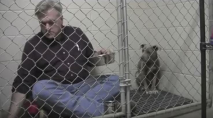 Entra nella gabbia per convincere la pitbull a mangiare, quello che fa è commovente