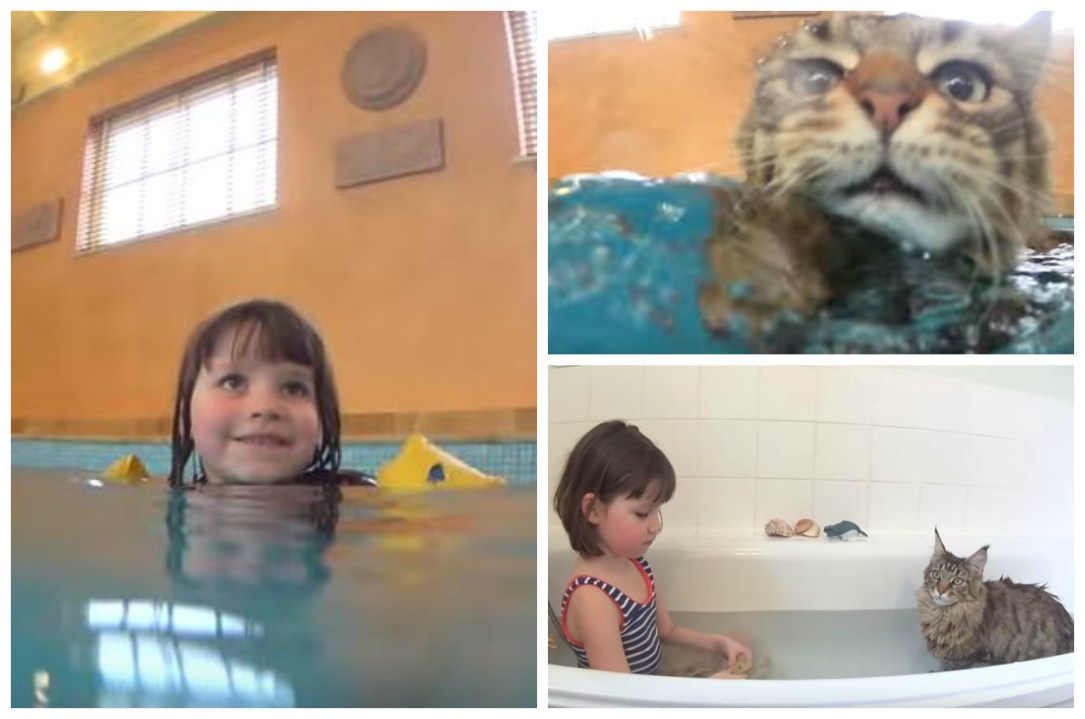Iris Grace,  la bimba autistica salvata dal suo gatto – Video