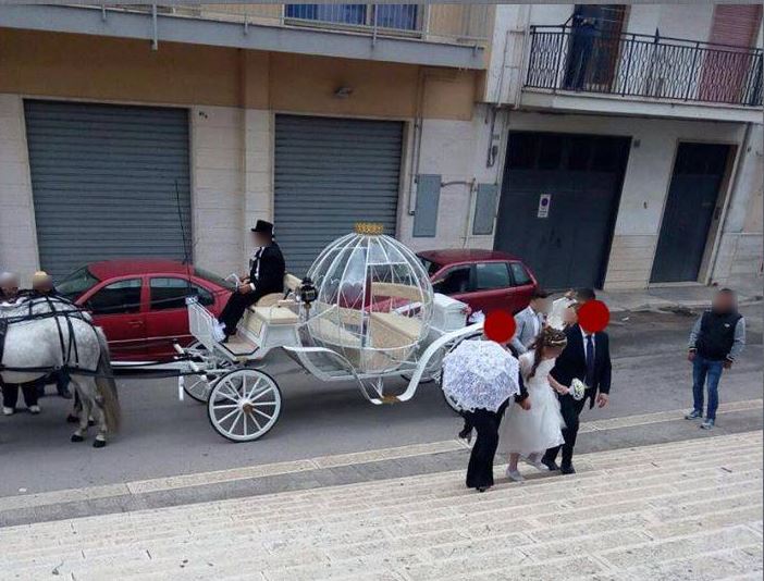 Bimba in carrozza per la Prima Comunione, Selvaggia Lucarelli invoca l’Apocalisse