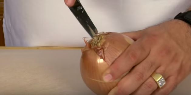 Come tagliare una cipolla senza piangere – Video