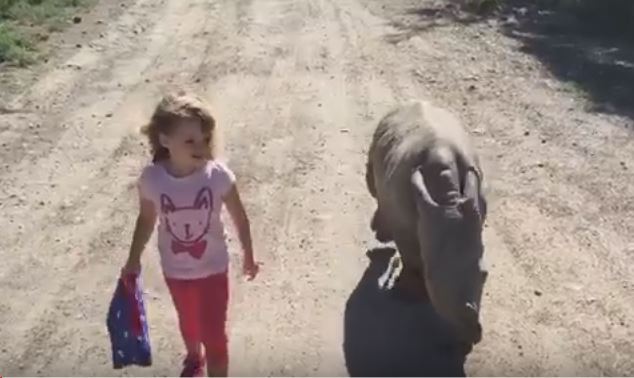 L’amicizia speciale tra un baby rinoceronte e una bambina, il video commuove il web
