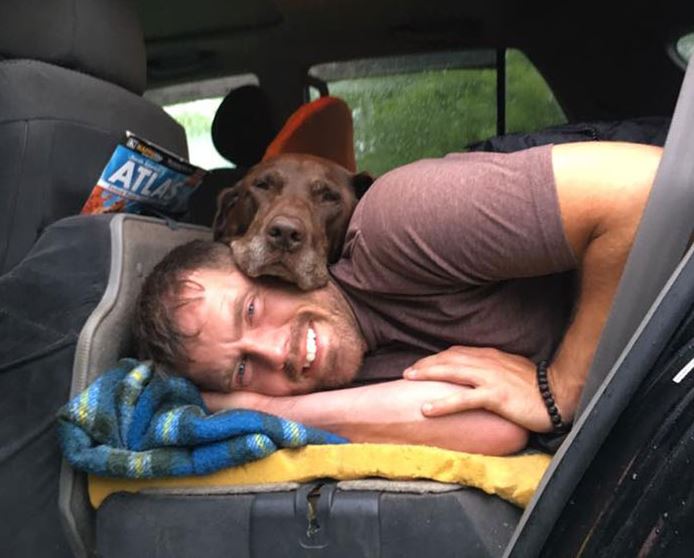 Il cane sta per morire l'ultimo viaggio con il padrone commuove il