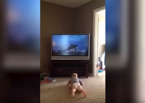 Baby Rocky, il bimbo che imita Sylvester Stallone è la nuova star del web