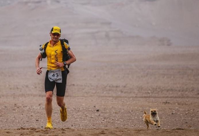 Cagnolina si unisce al maratoneta e tagliano insieme il traguardo