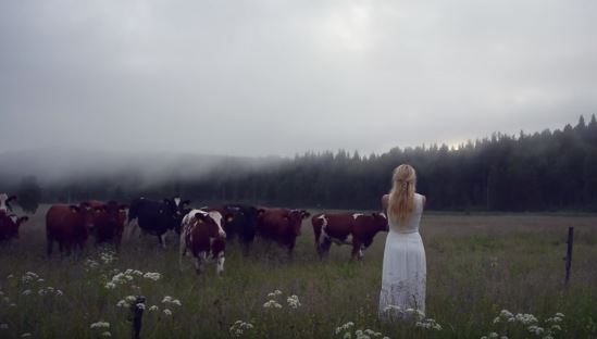 Il canto di questa ragazza fa impazzire le mucche – Video