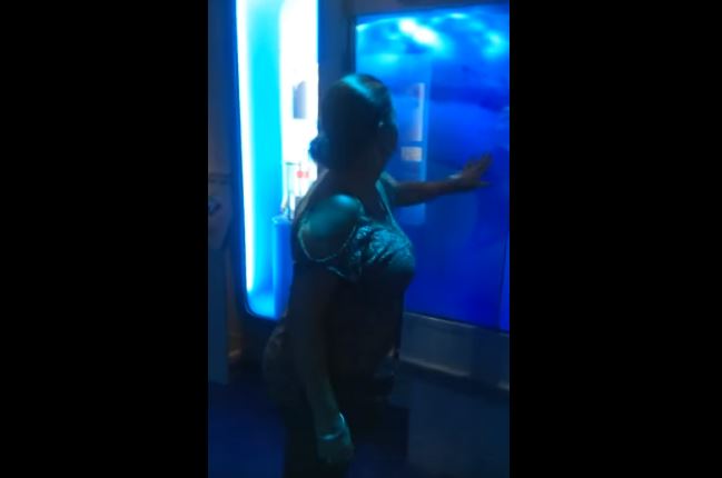 Tocca la vasca dello squalo, ciò che accade dopo è spaventoso