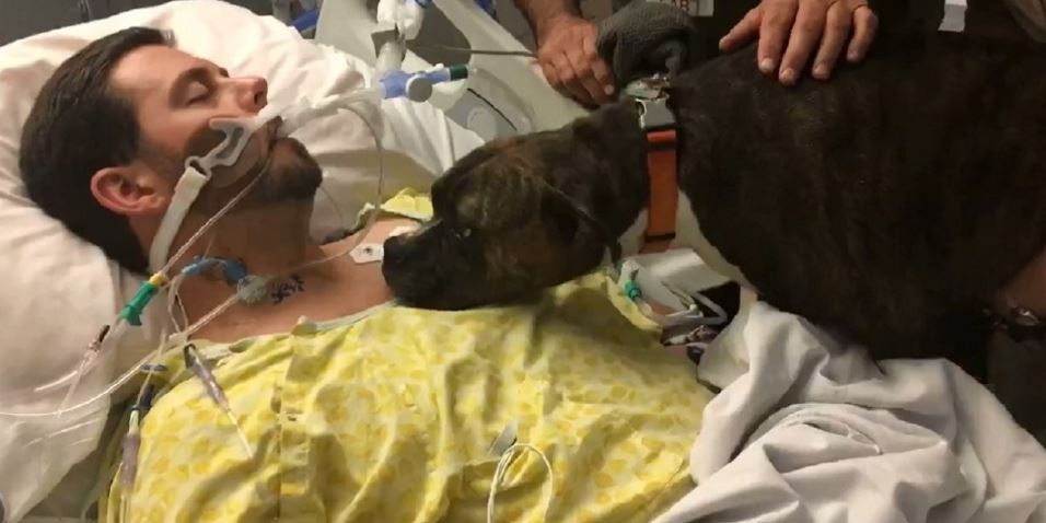 Il padrone è in fin di vita, l’ultimo saluto di Mollie strazia il cuore