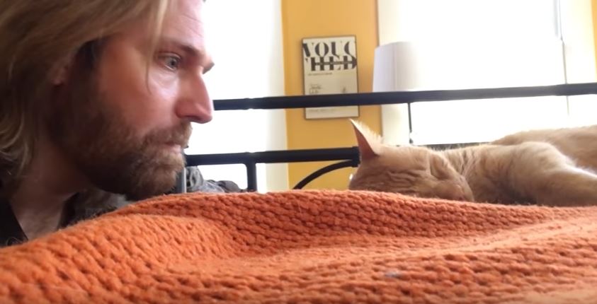 Il gatto miagola nel cuore della notte, il padrone si vendica così