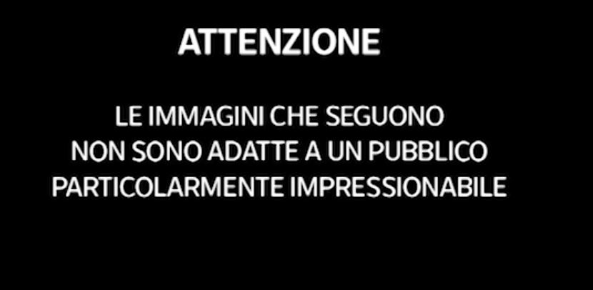 Malore in diretta tv per Sveva Alviti: “Attacco epilettico”