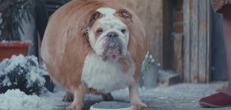 “Mangia come ciò che vuoi essere”, lo spot tedesco è virale