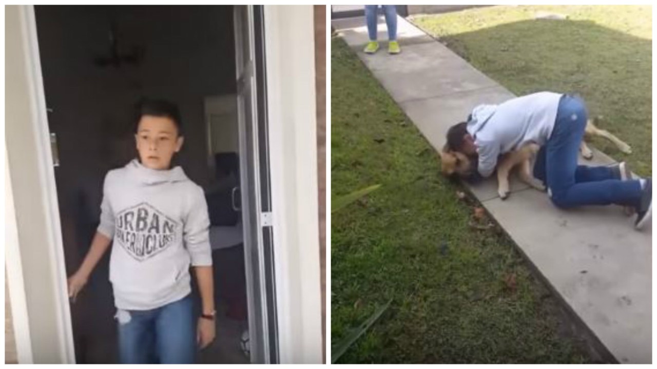 Riabbraccia il cane dopo otto mesi, il video commuove il web