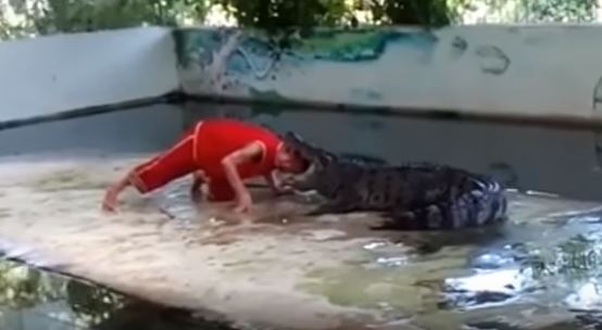Infila la testa nella bocca del coccodrillo ma qualcosa va storto