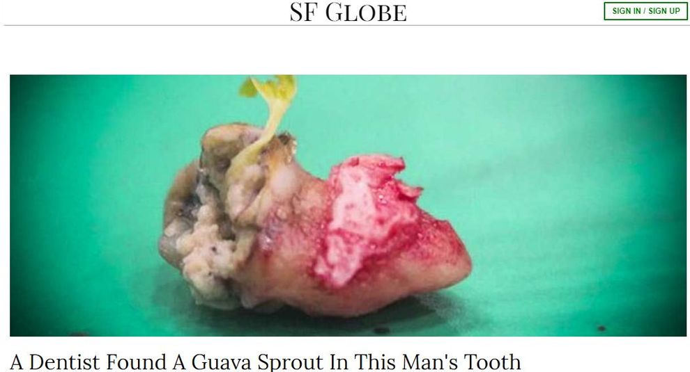 Va dal medico per un forte mal di denti e fa una scoperta choc