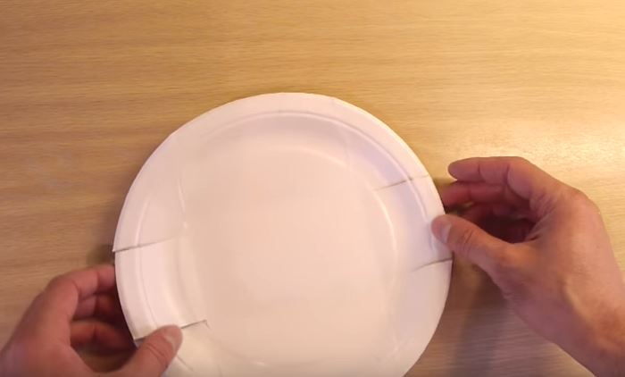 Inizia tagliando un piatto di carta, il risultato finale è incredibile