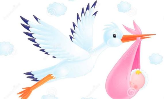 A 38 anni partorisce l’undicesimo figlio, mamma record a Como