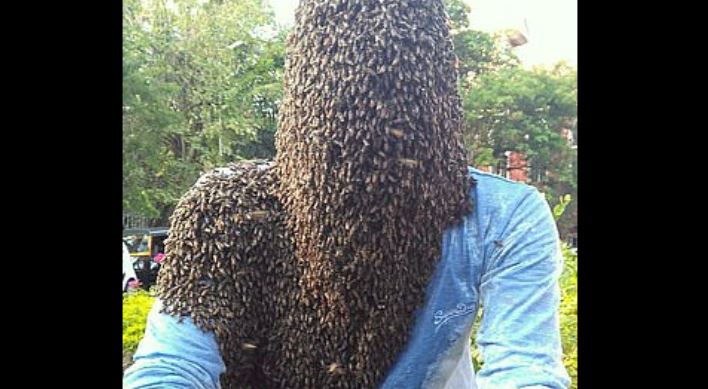 L’indiano dei record: “Le api sono le mie migliori amiche, se mi pungono è colpa mia”