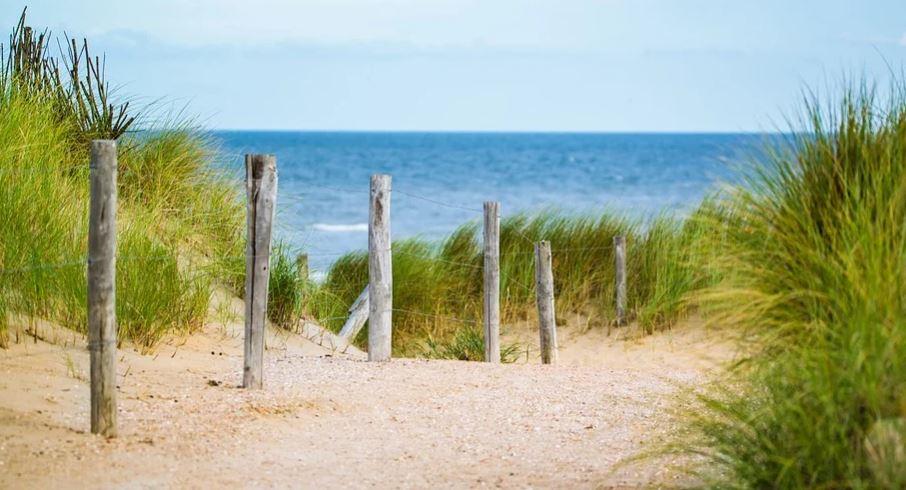 Sesso in spiaggia in pieno pomeriggio: maxi multa per una coppia focosa