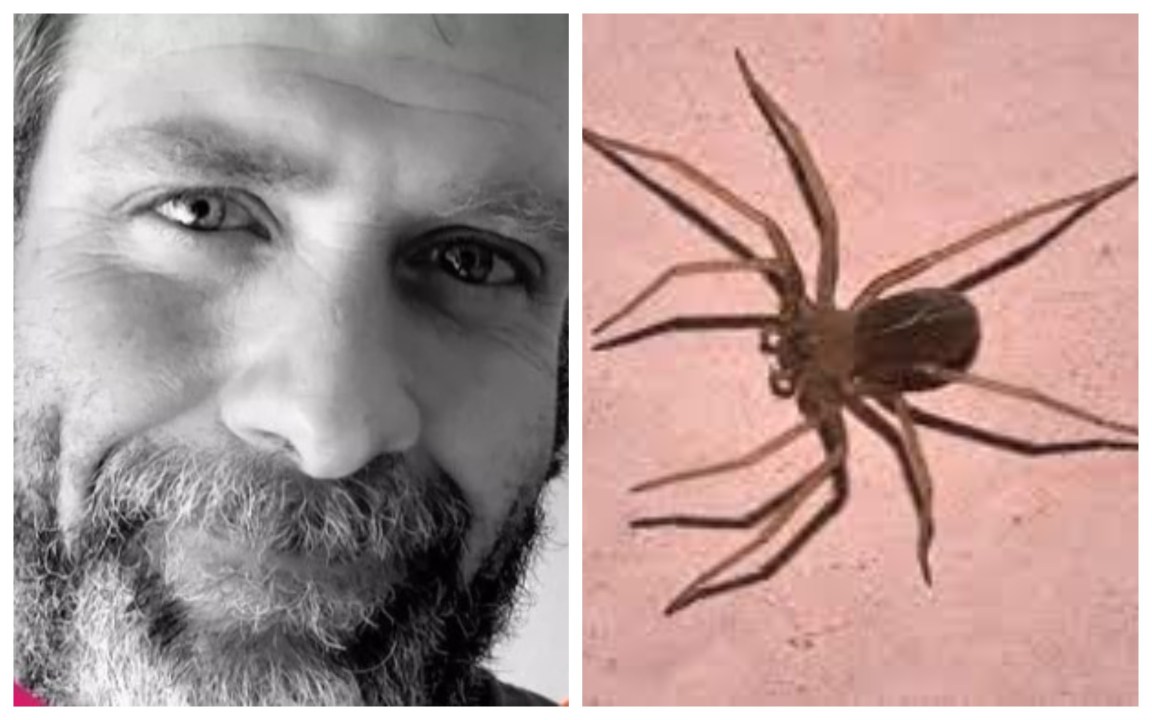 Nuovo dramma sul set del film di Alec Baldwin: operatore morso da un ragno rischia l’amputazione