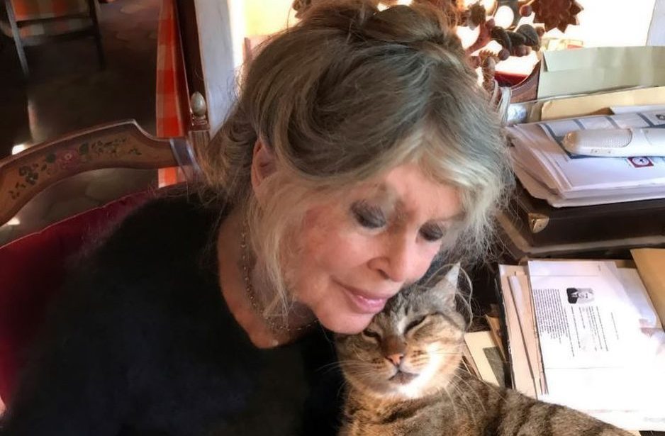 Brigitte Bardot no vax: “Per andare in Africa mi feci fare un certificato falso”