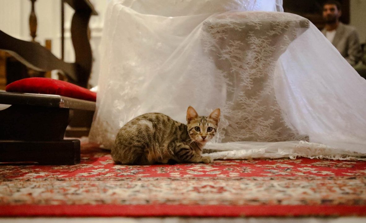 Sicilia, nozze con “terzo incomodo” ma per gli invitati è un segno dal cielo