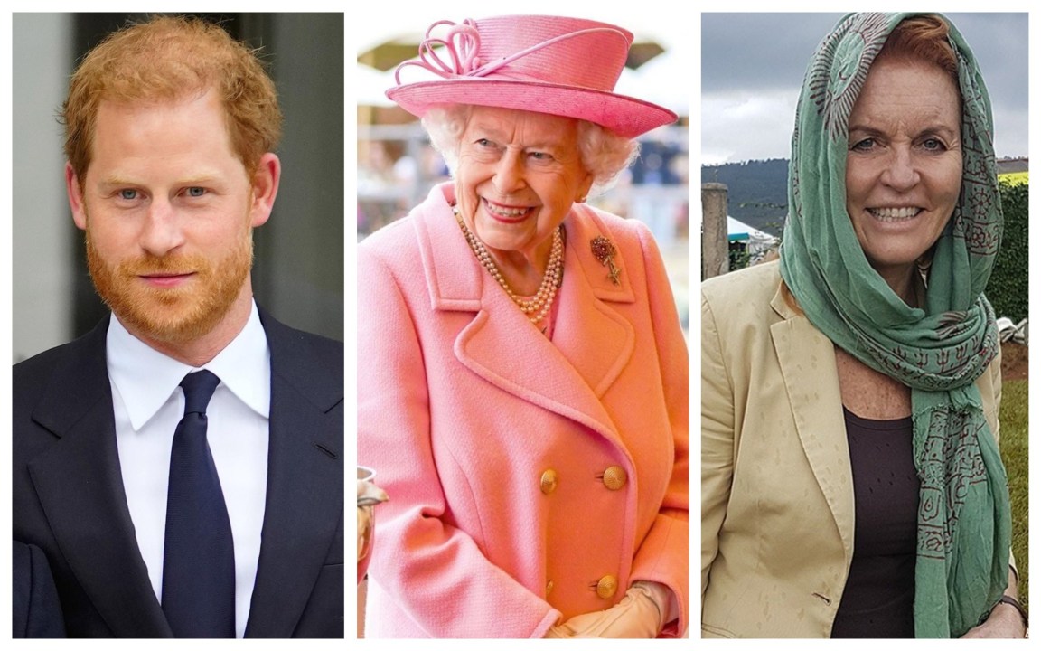 Regina Elisabetta, il ricordo dell’ex nuora e lo “smacco” a Harry: “Non lo hanno aspettato per l’annuncio”