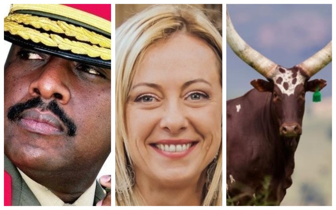 Quanto vale Giorgia Meloni? Generale ugandese (figlio del presidente) offre 100 vacche