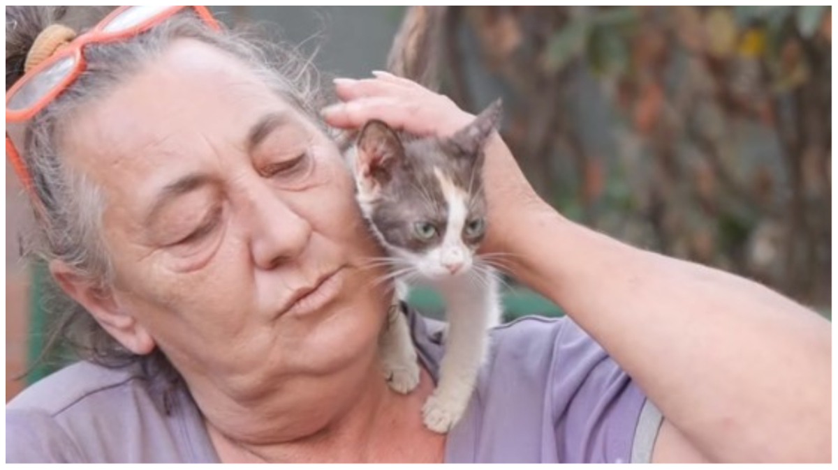 “Le Iene”, l’incredibile storia di Paola che vive con 200 gatti