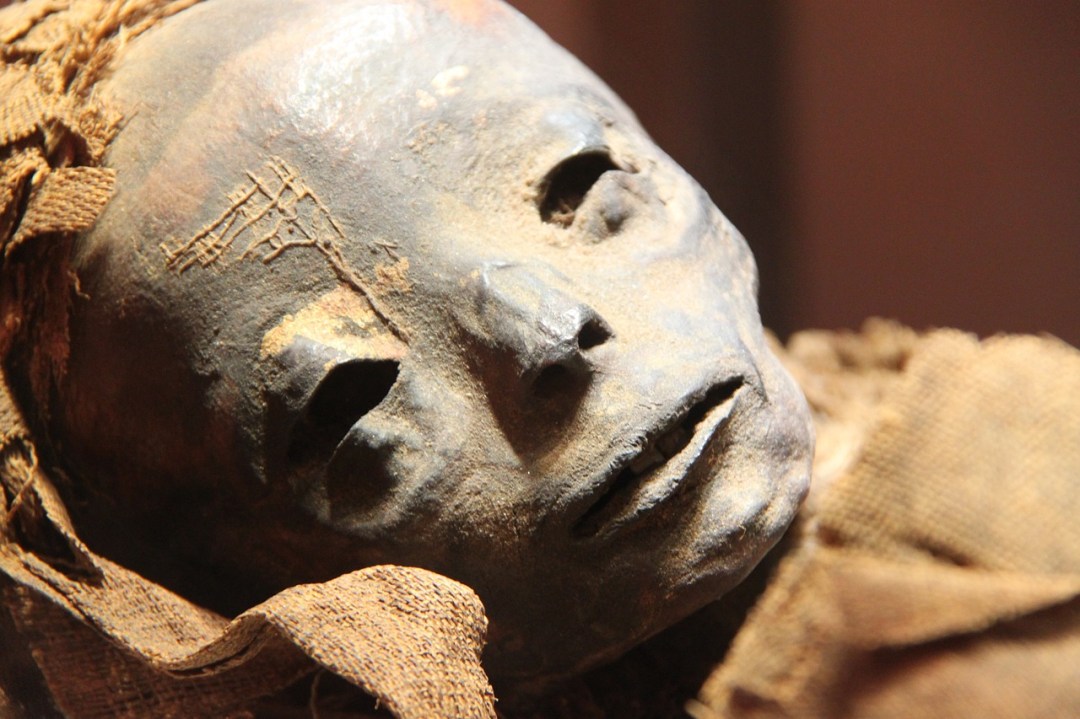 Mummia di 800 anni nello zaino delle consegne, rider in manette: “E’ la mia fidanzata”