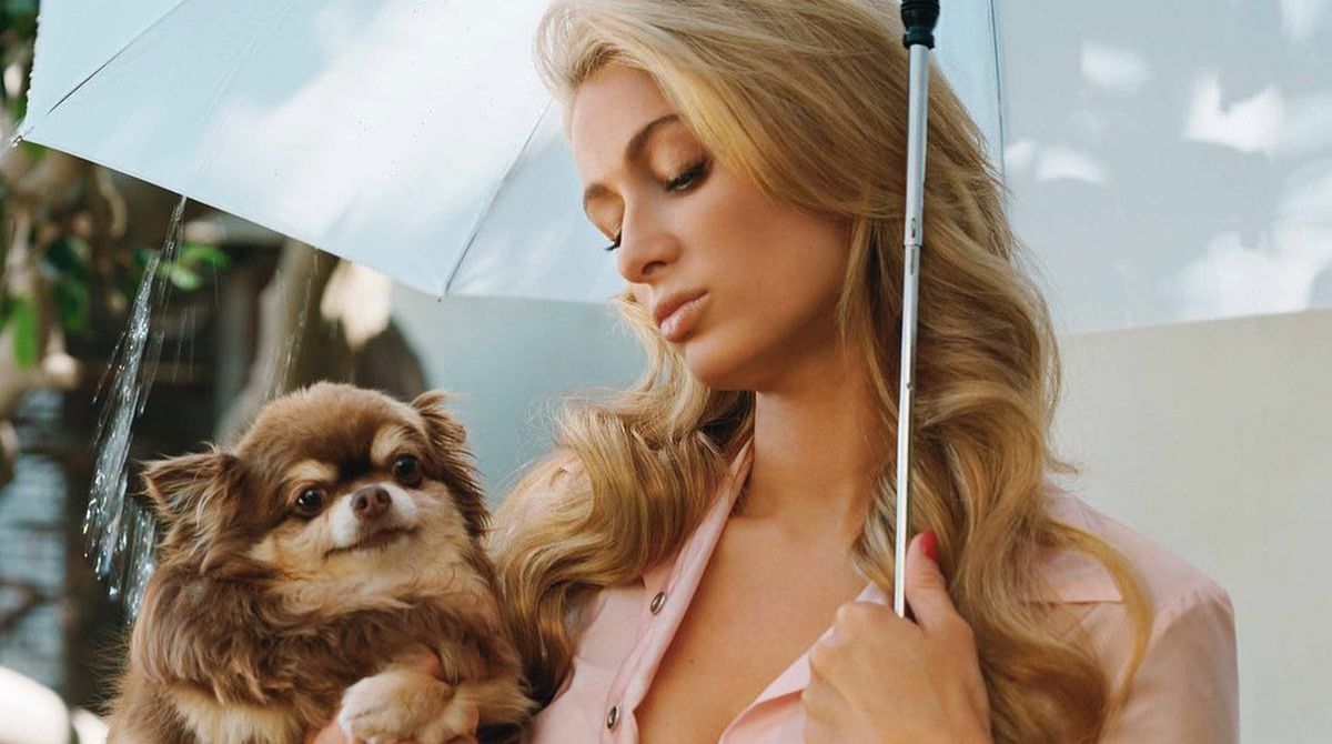 Paris Hilton distrutta per la morte della sua cagnolina: “Al mio fianco per 23 anni”