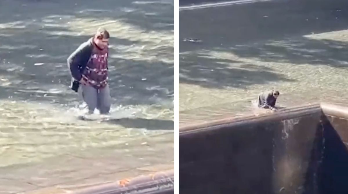 New York, 33enne si lancia in una delle piscine del World Trade Center – Video