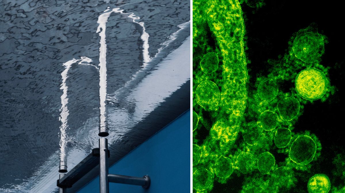 Bambina di 10 anni fa il bagno in piscina e muore a causa dell’ameba mangia cervello