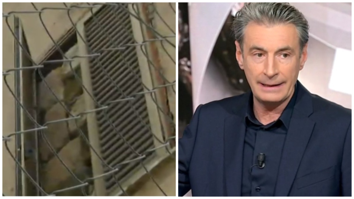 Cane bruciato a Palermo, murato lo stabile occupato dal padrone: “Lui si è dato alla fuga”