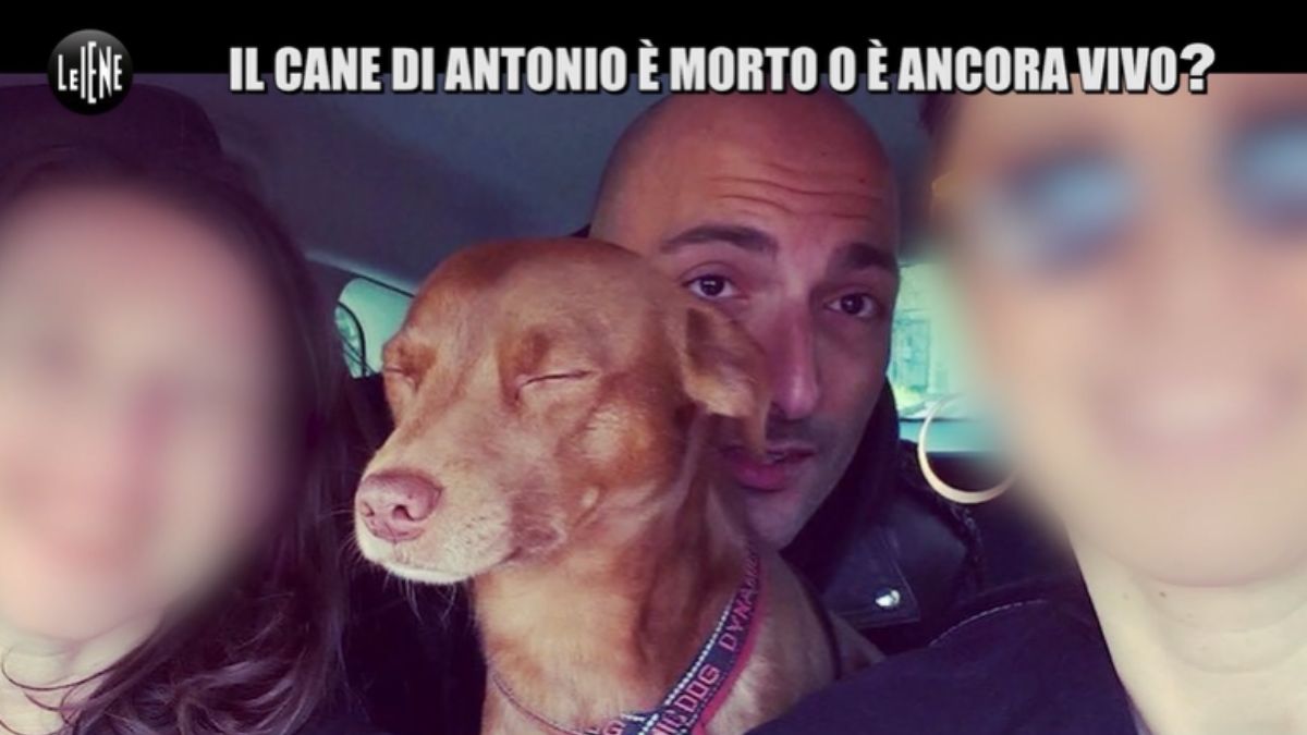“Gustavo è vivo o morto?”, “Le Iene” raccontano l’incredibile storia di Antonio e del suo cane