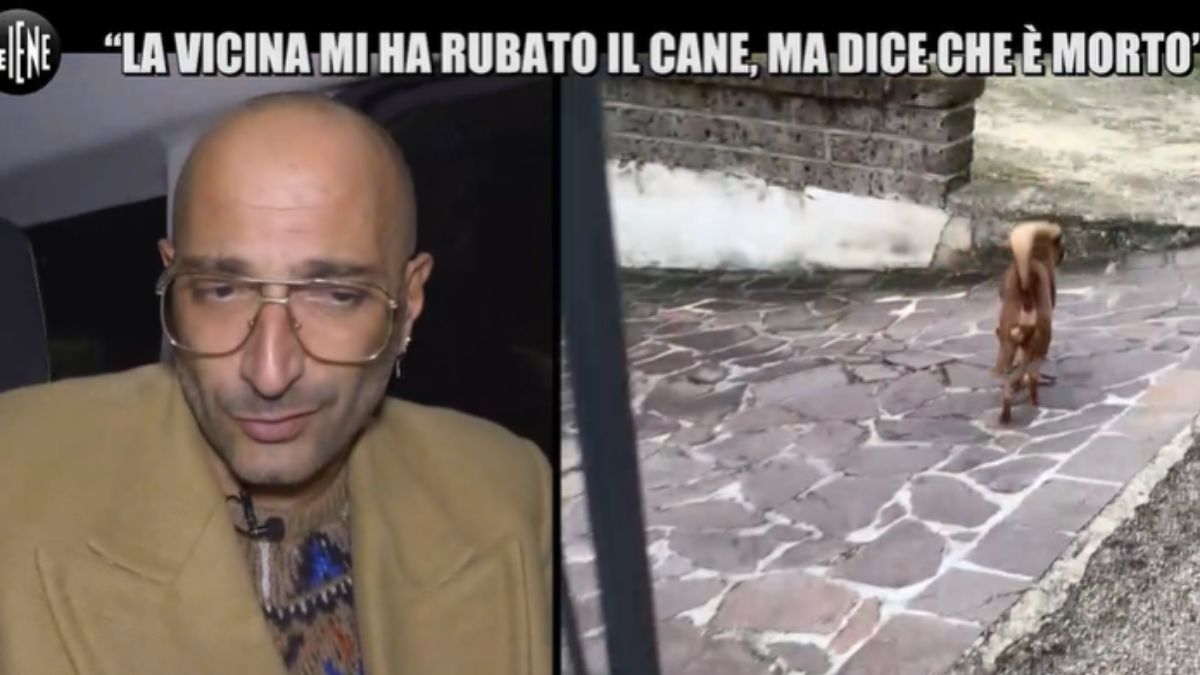 Affida il cane alla vicina e lei gli dice che è morto.  Frizzi è Gustavo? Il giallo continua
