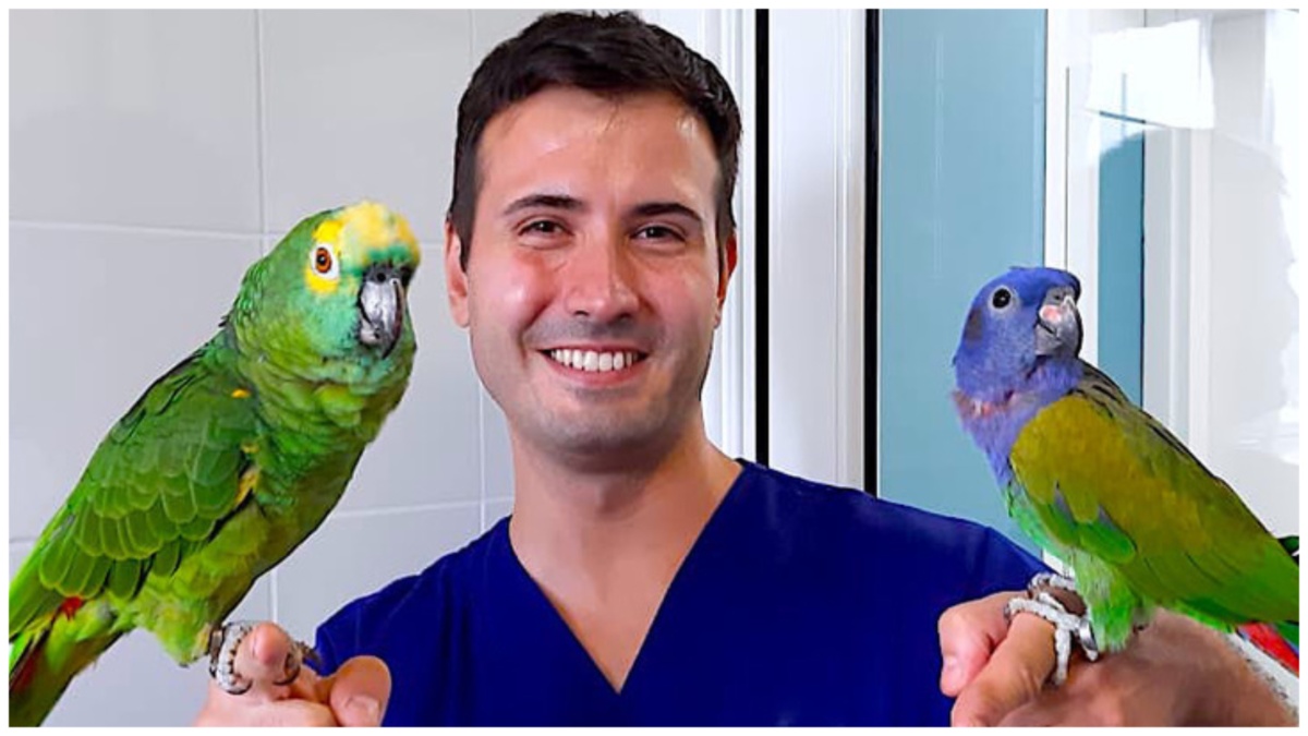 Marco Petrini noto come “Dottorpet” ucciso da un male incurabile