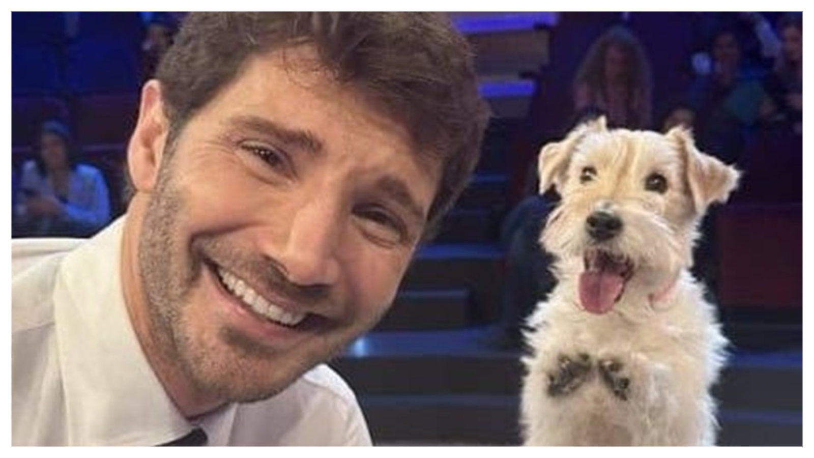 stefano de martino perde gennarino tutte le novit224 di affari tuoi da Perizona.it stefano de martino perde gennarino tutte le novit224 di affari tuoi